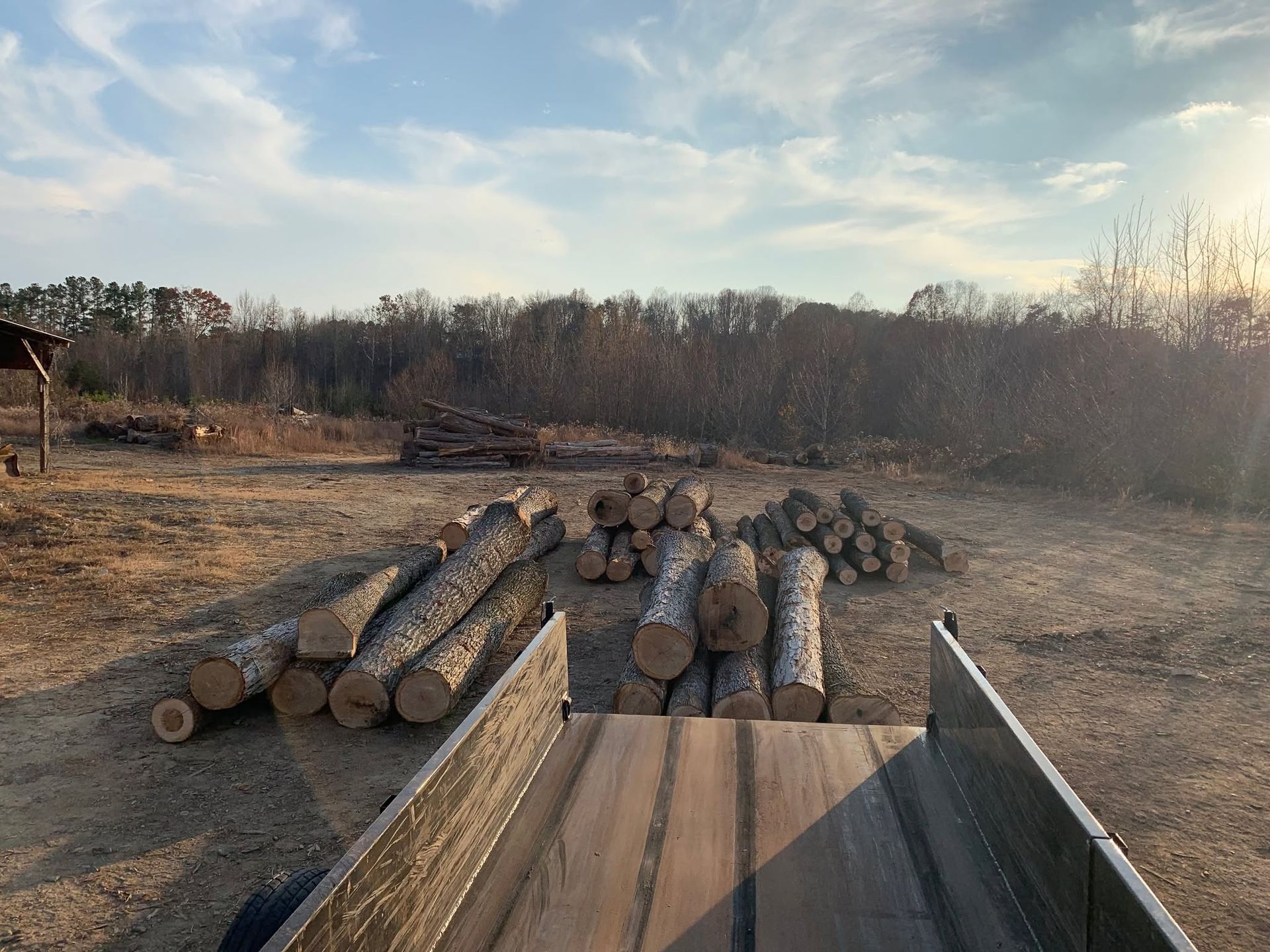 Loaded logs in a truck bed in a rural field at sunset