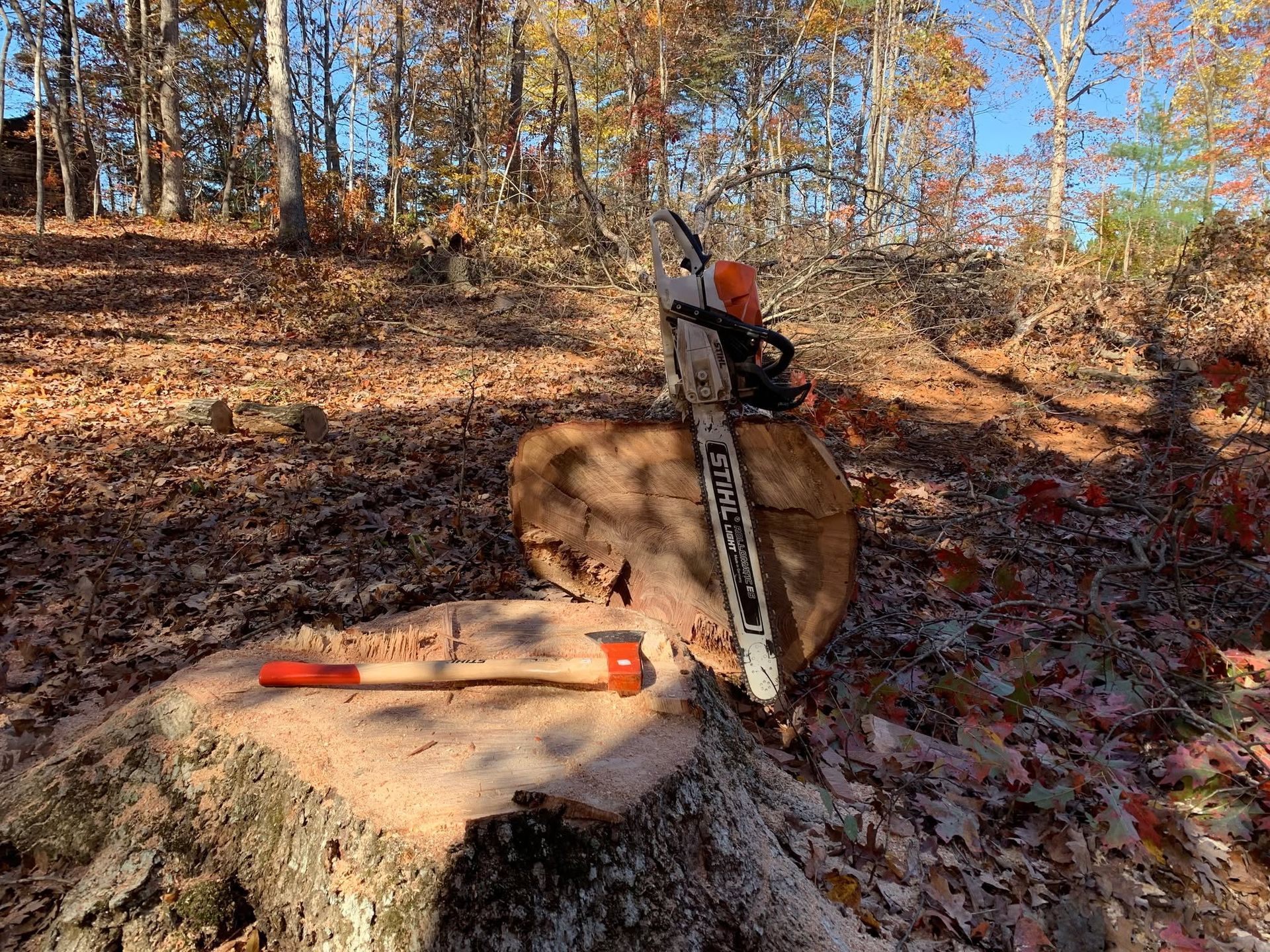 Chainsaw propped on a cut log in a wooded area with fallen leaves and an orange tool beside it