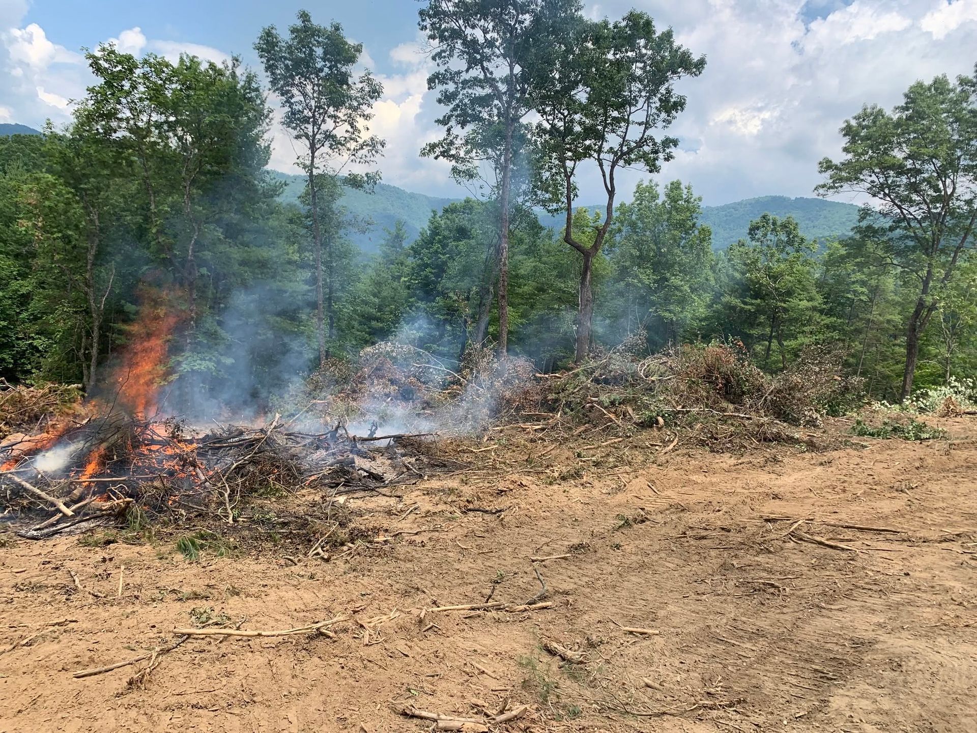 Small brush fire with smoke and flames in a forest clearing under a cloudy sky