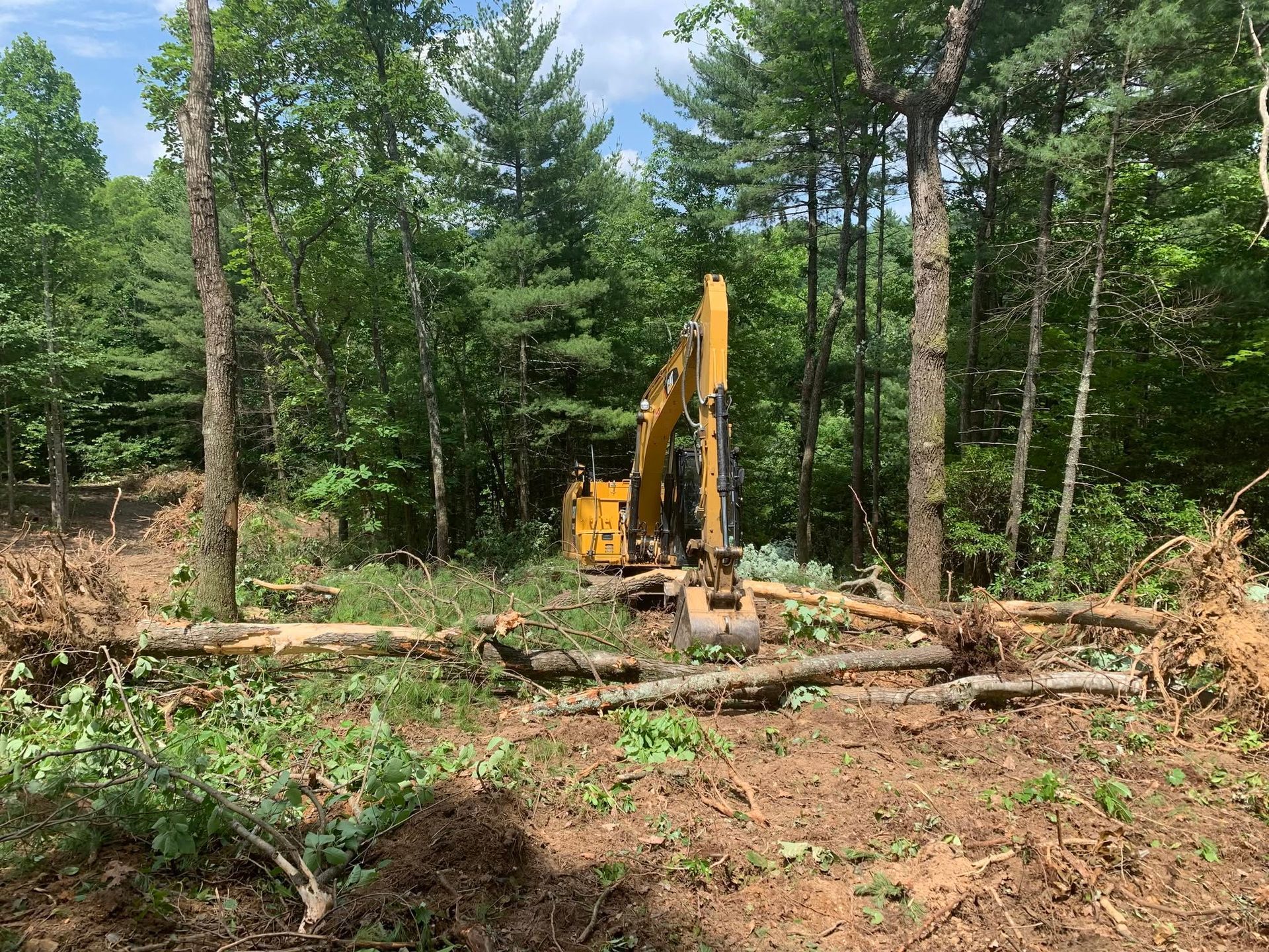 Yellow excavator clearing fallen trees in a wooded area
