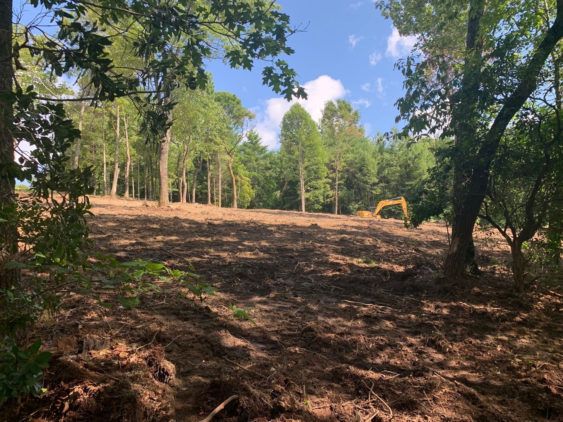 Cleared forest site with dirt ground, trees on both sides, and an excavator in the distance