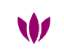 Eine stilisierte, dreiblättrige violette Lotusblume.