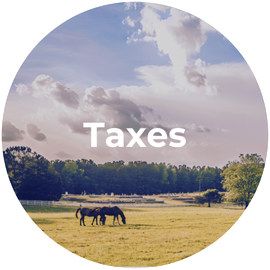 Two horses grazing in a field with the word taxes above them