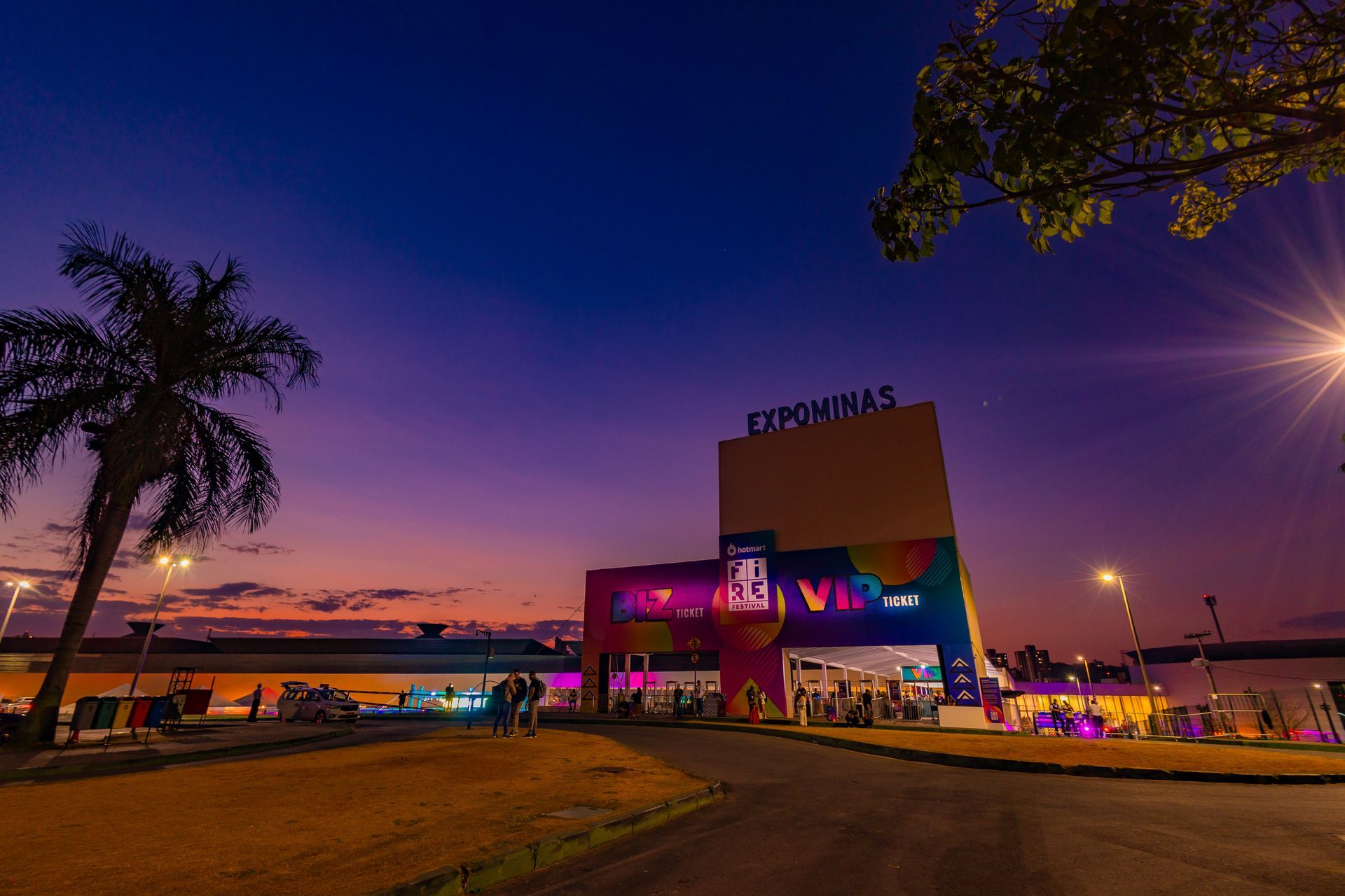 A large building with a palm tree in front of it at night.