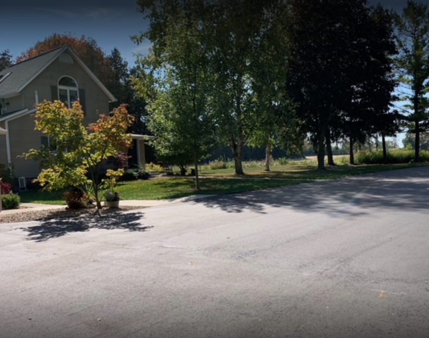 A house with a lot of trees in front of it