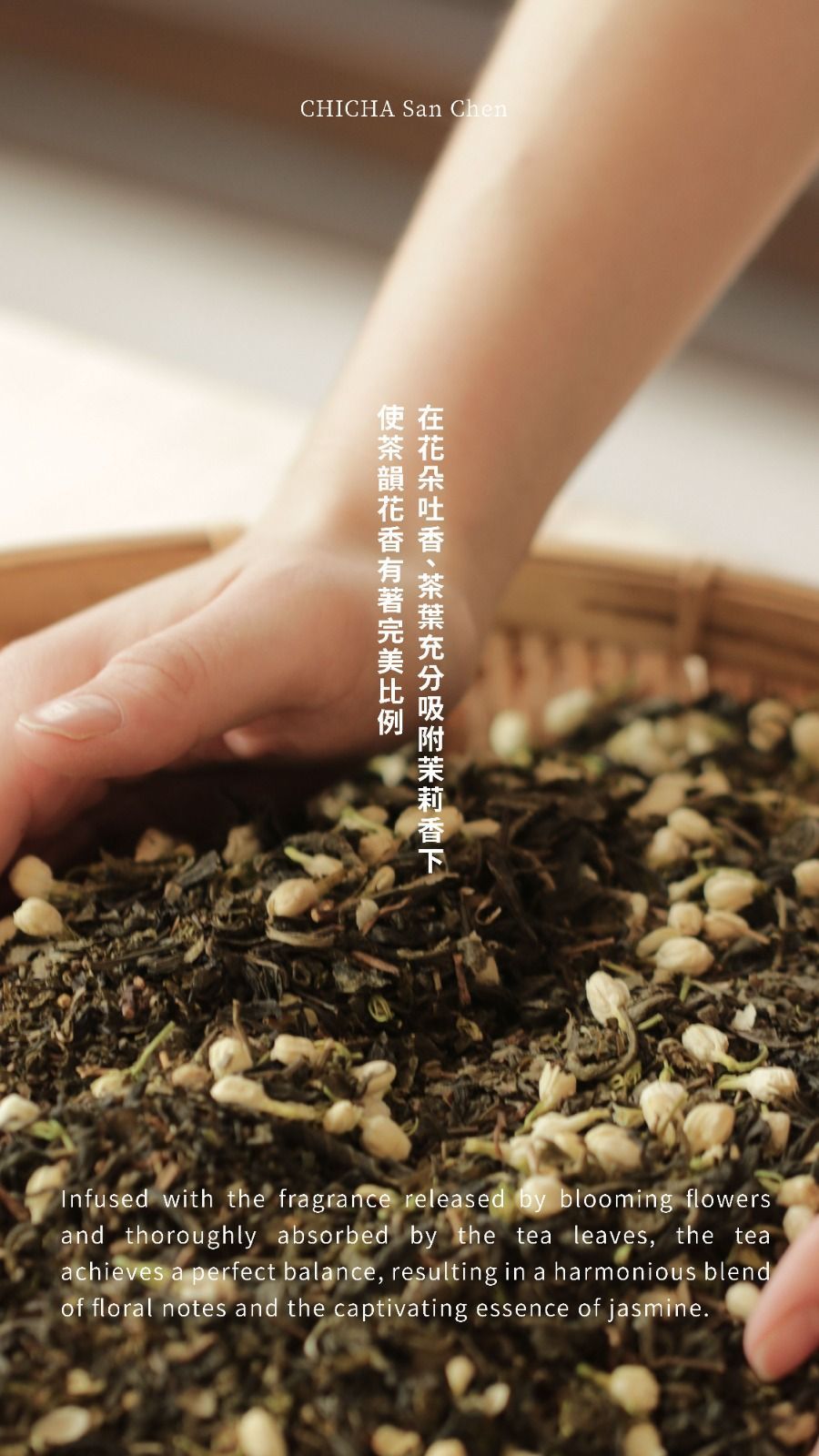 Hands mixing soil with seedlings in a planter, with vertical Chinese text overlay.