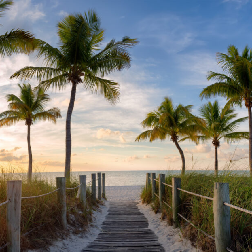 A wooden walkway leading to the beach with palm trees