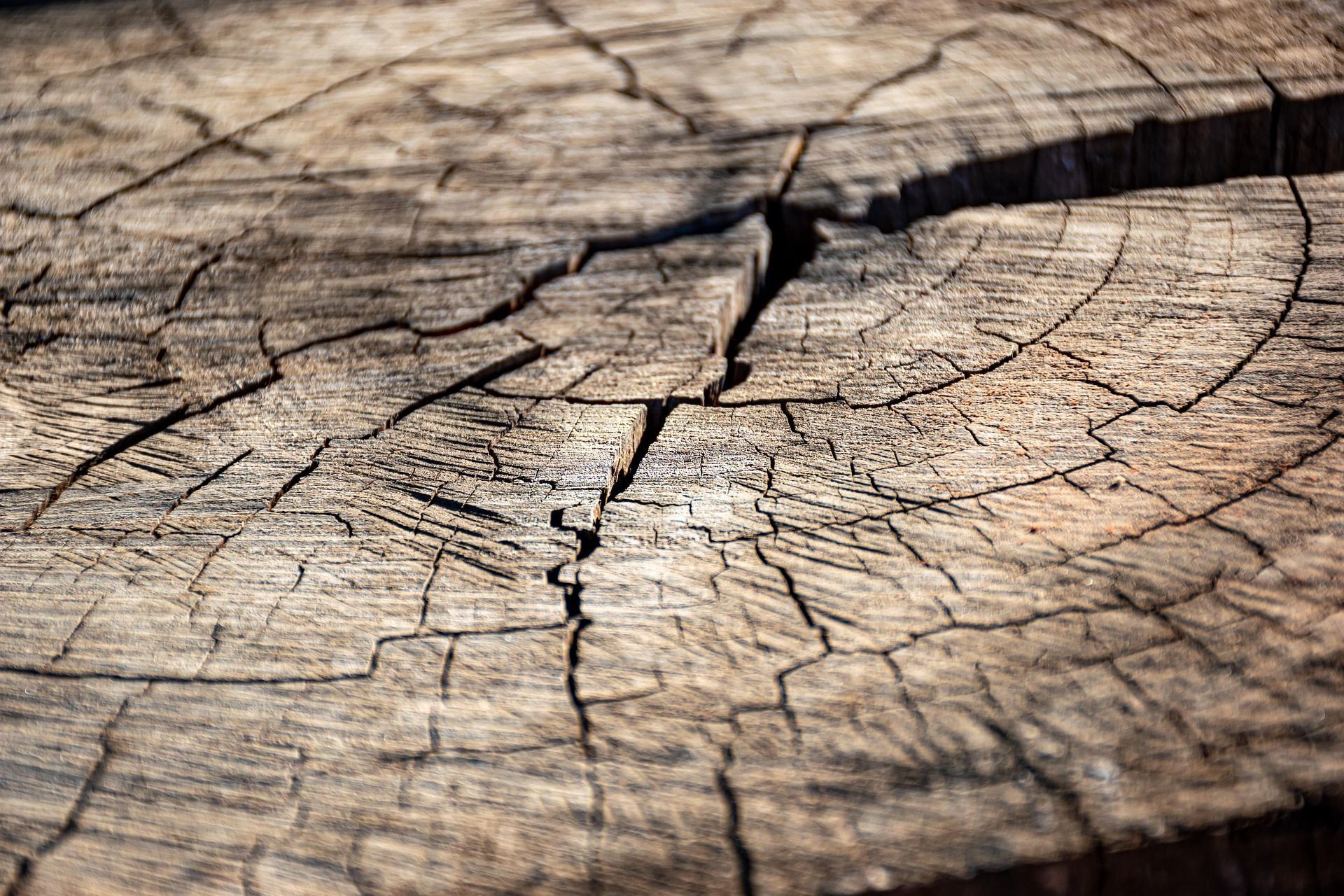 stump grinding okc