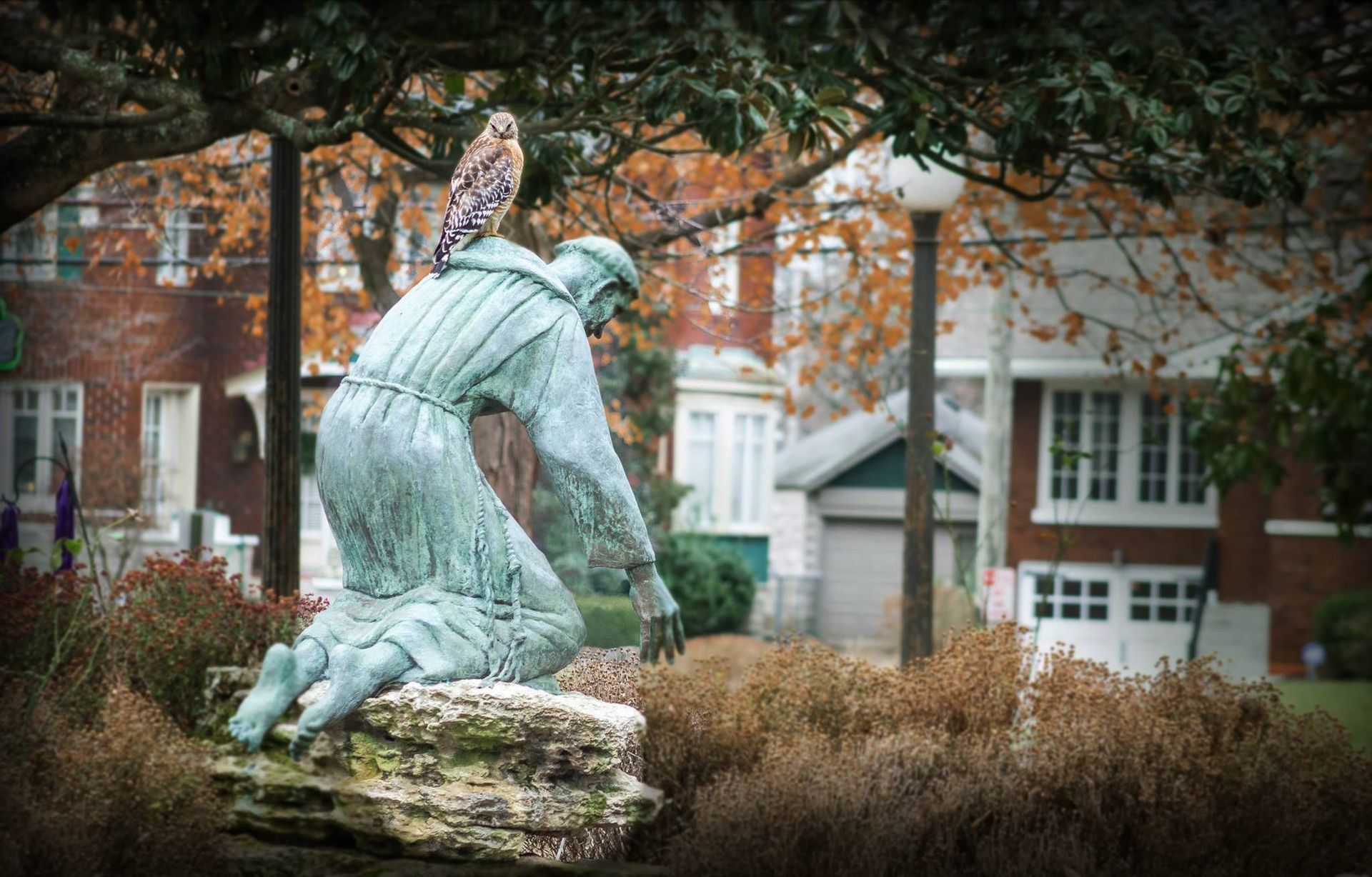 A bronze statue of a kneeling figure with a bird perched on its shoulder, set among bushes in front of brick houses.