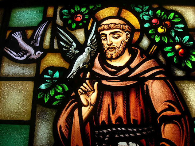Stained glass of Saint Francis of Assisi in a brown habit, with a halo and birds against a backdrop of foliage.