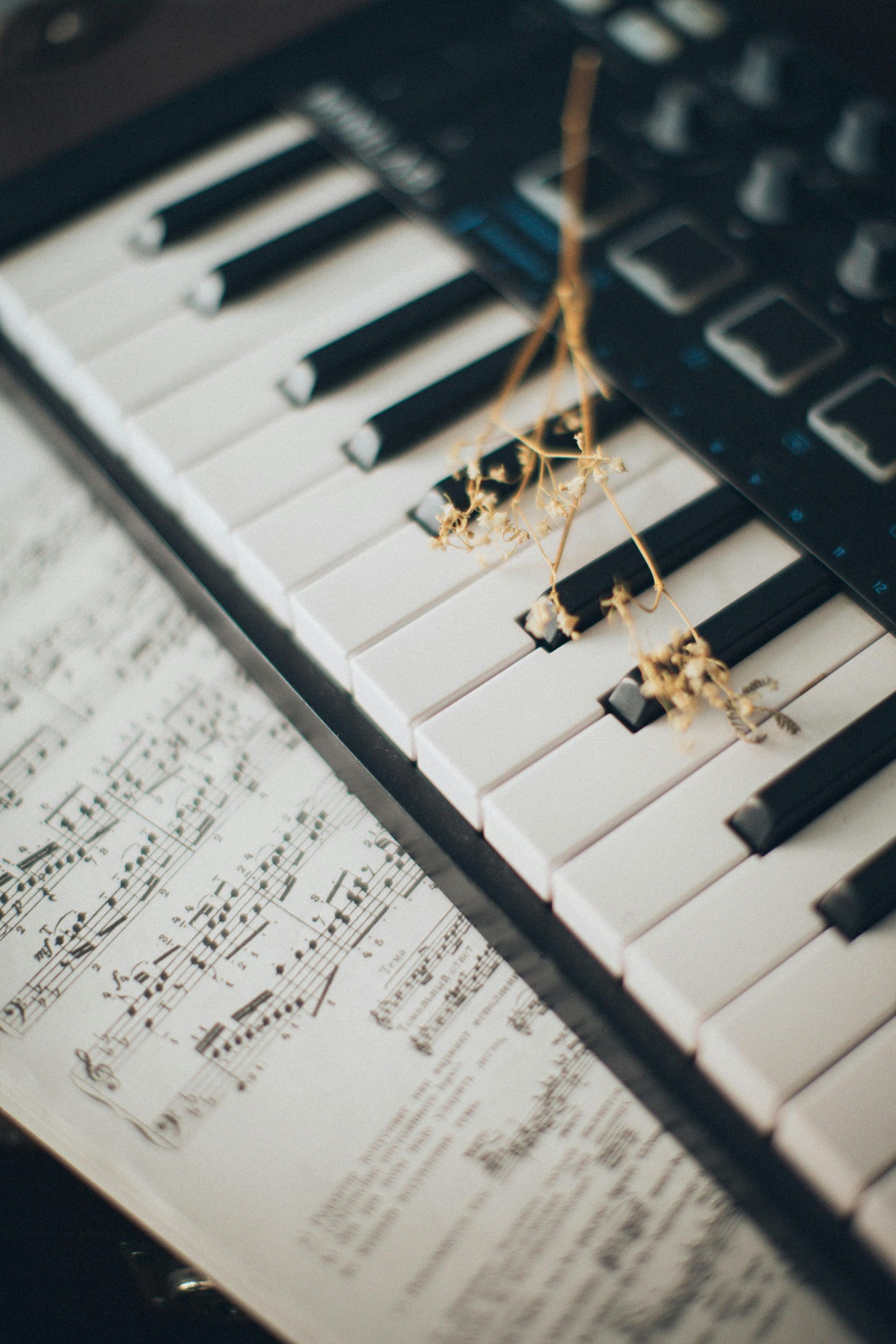 A MIDI keyboard controller sits on top of handwritten sheet music, with a sprig of dried flowers resting on the keys.