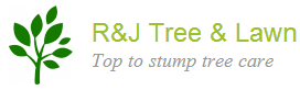 R&J Tree & Lawn LLC R&J Tree & Lawn LLC