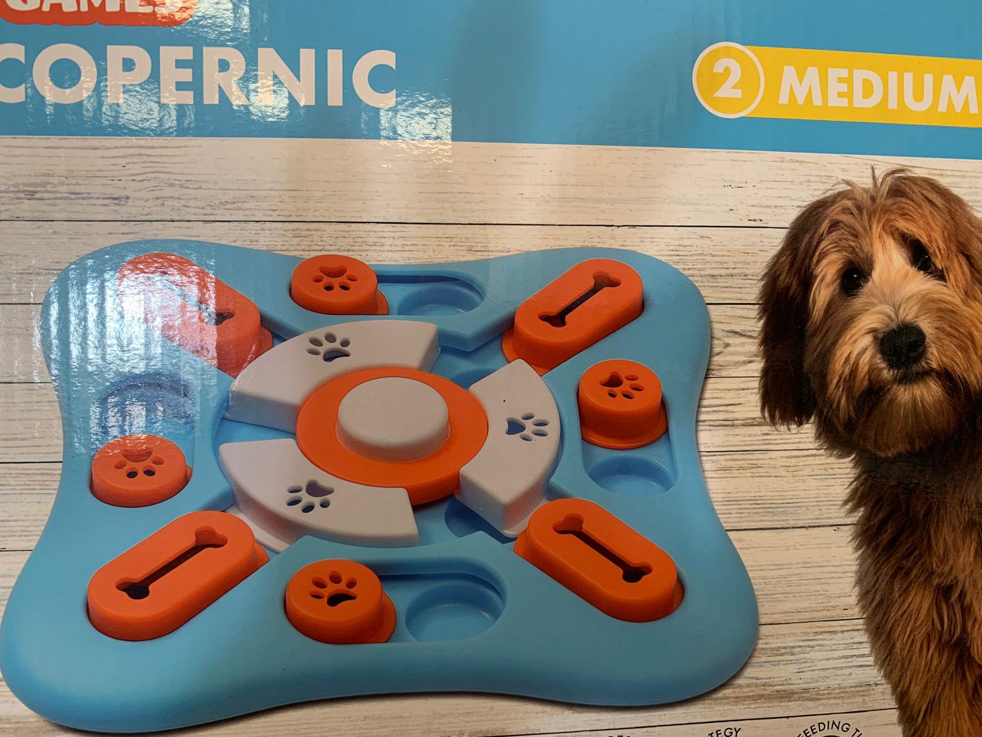 Un cane in piedi accanto a un giocattolo con la scritta