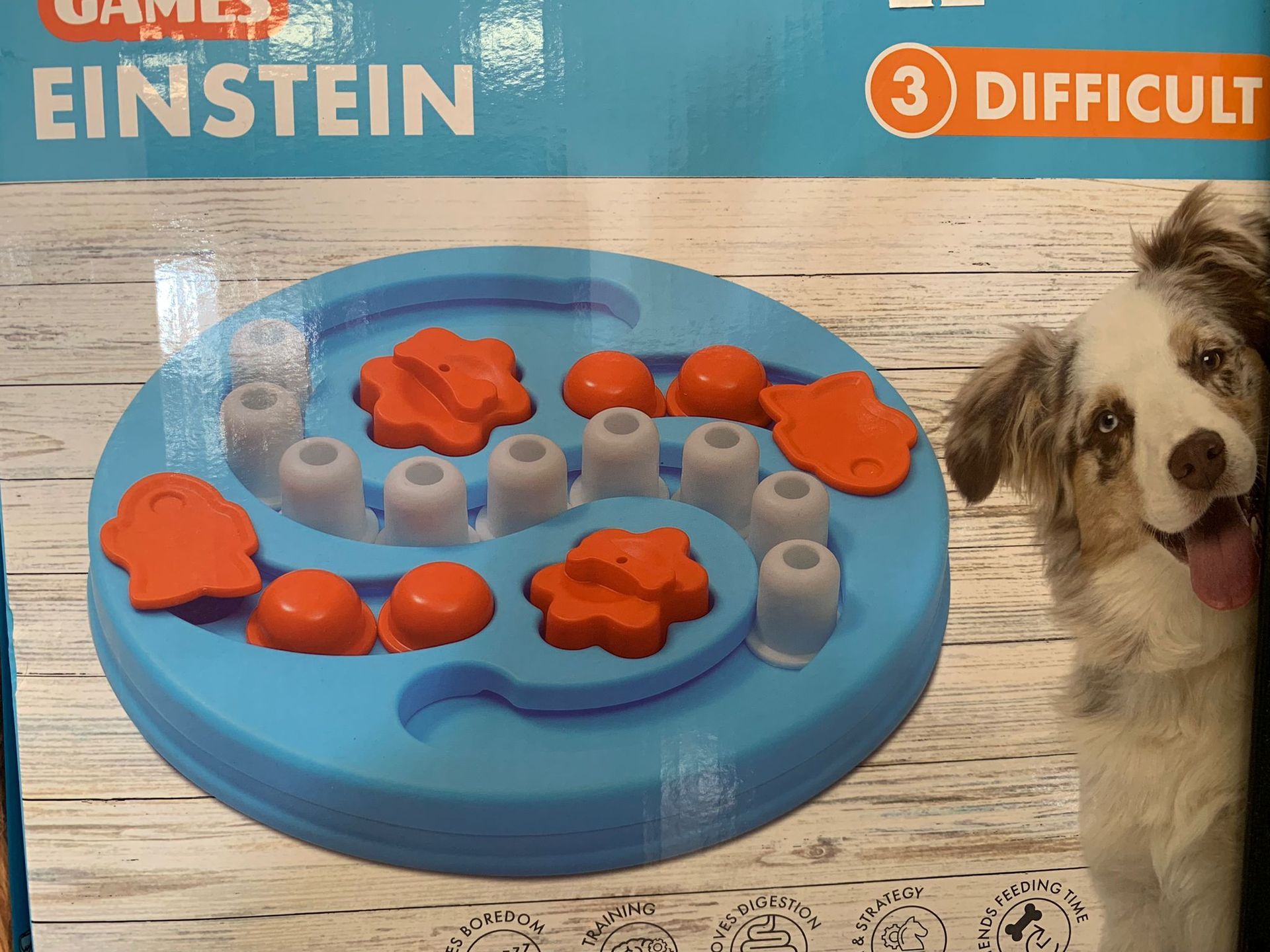Un cane è in piedi accanto a un giocattolo blu di Einstein