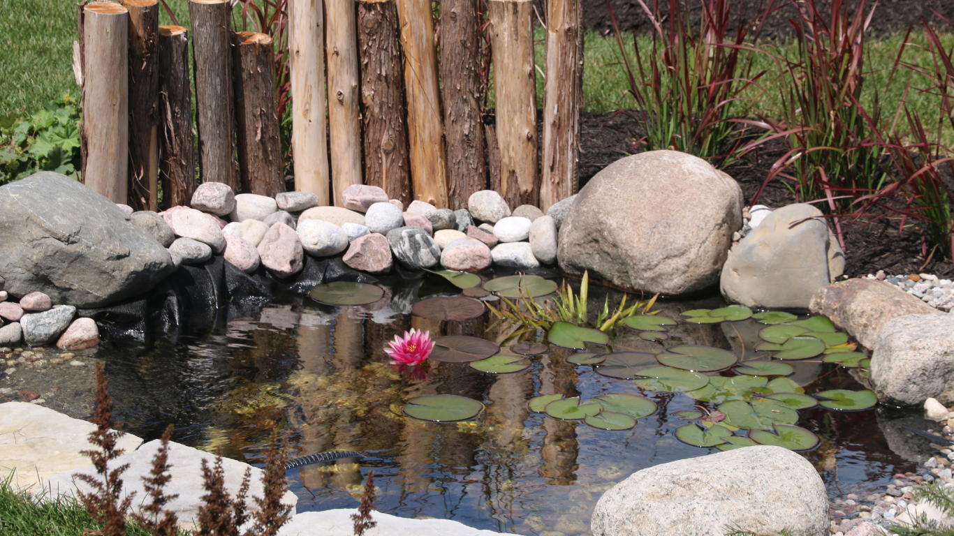A small backyard pond with water lilies, surrounded by rocks, wood fence, and grass.