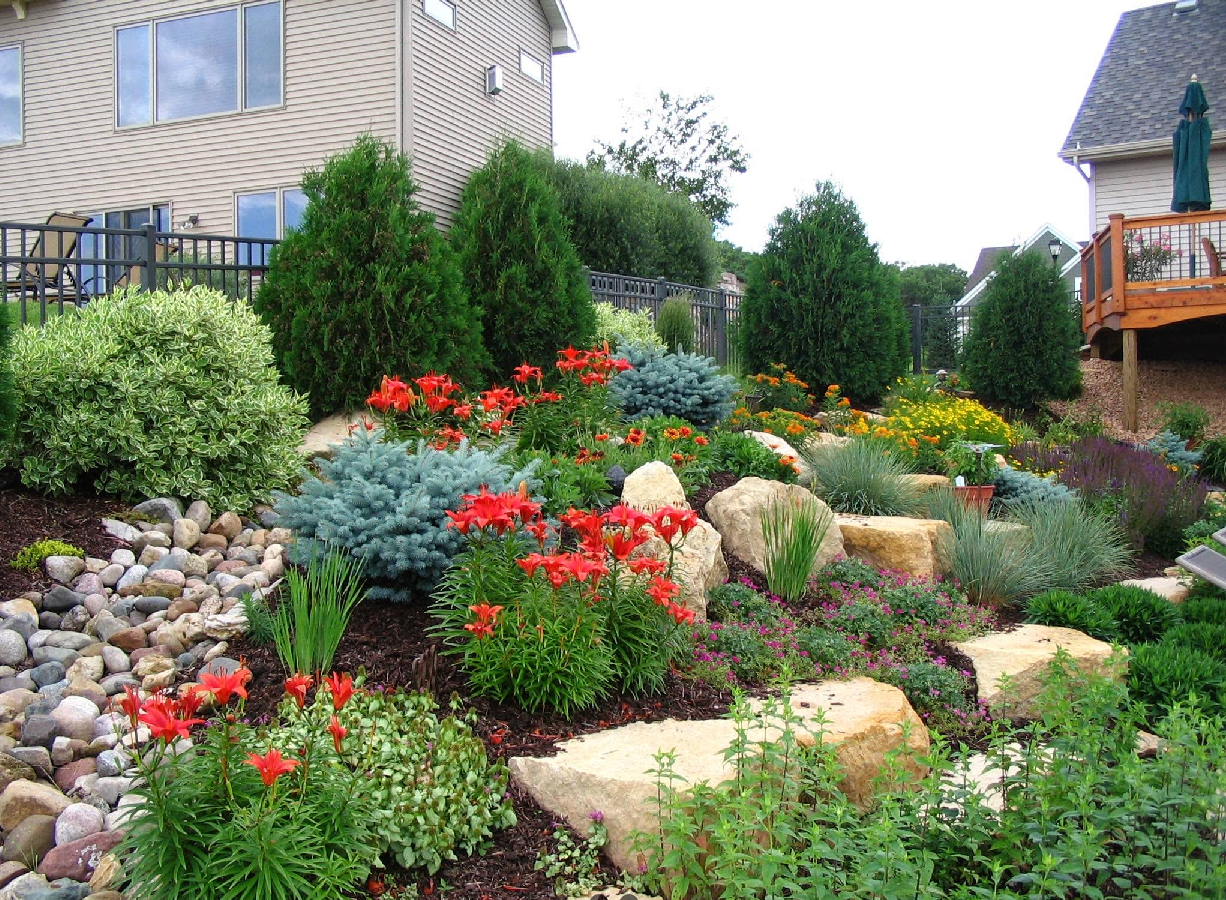 A colorful garden on a slope with rocks, flowers, and various green plants; near a house.