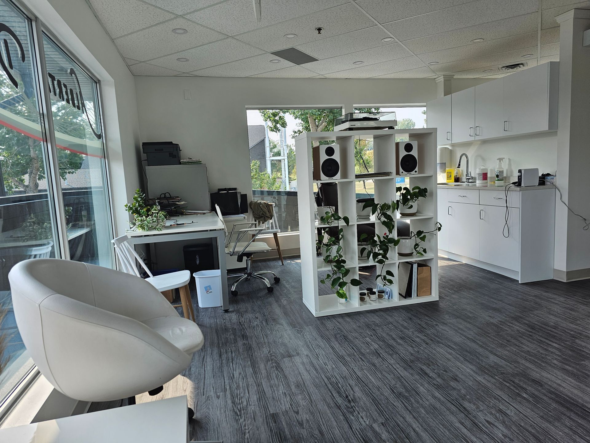Bright modern lounge with white chairs, shelving, plants, and a kitchenette in the background