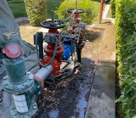 Backflow Preventers