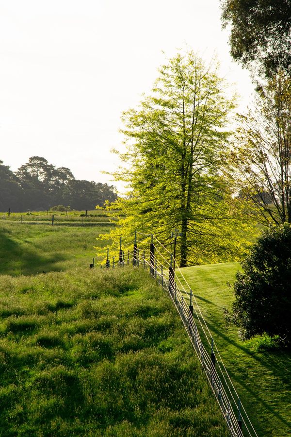 Rural Fence - Bendigo, VIC - Action Fencing & Contracting Rural Fence - Bendigo, VIC - Action Fencing & Contracting