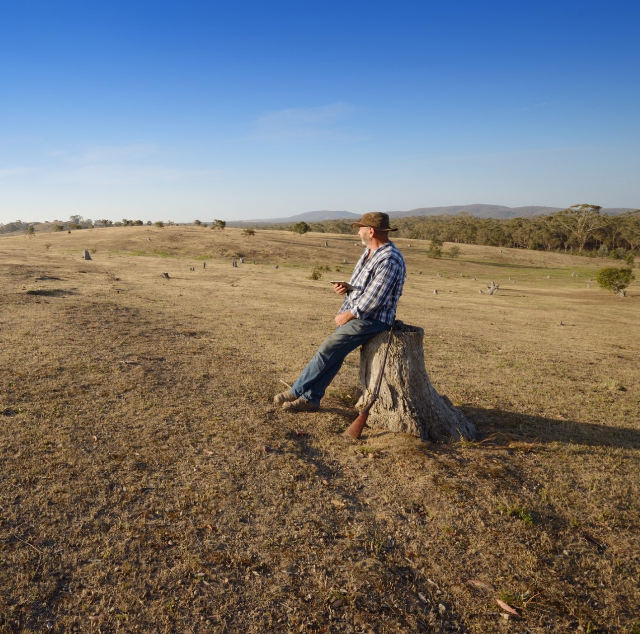 Wooden Fence - Bendigo, VIC - Action Fencing & Contracting Wooden Fence - Bendigo, VIC - Action Fencing & Contracting