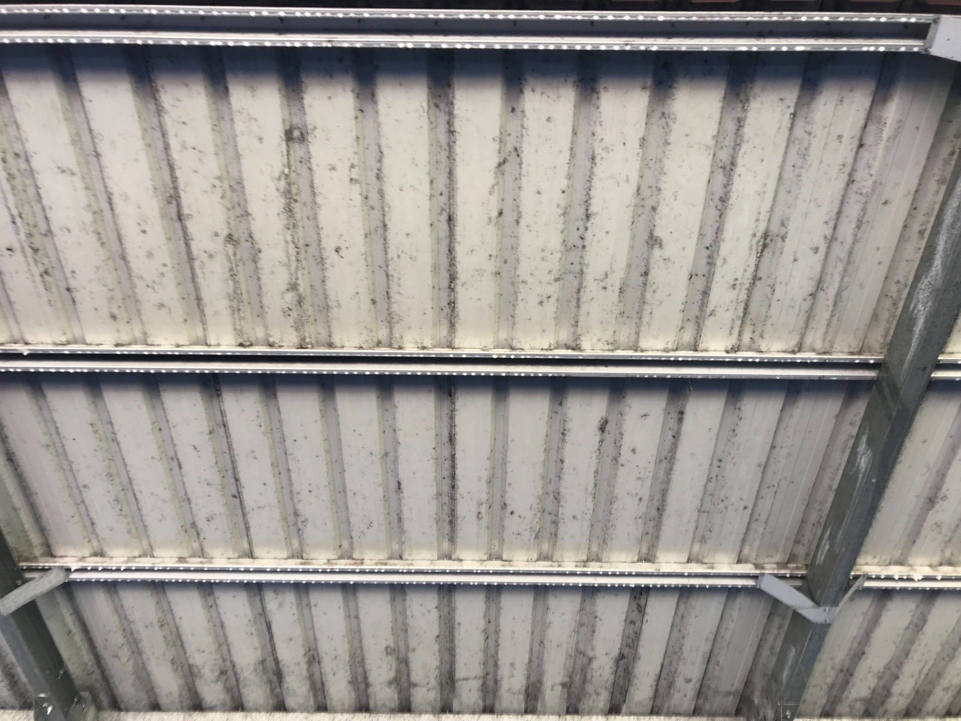 Before Cleaning Garage Roof — Derek's Dirty Deeds In Booral, QLD