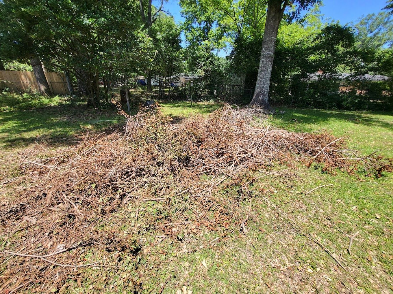 A pile of branches is sitting in the middle of a lush green field.