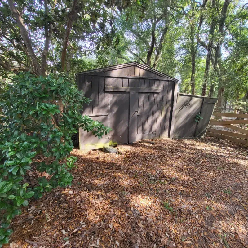 A wooden shed is surrounded by trees and leaves.