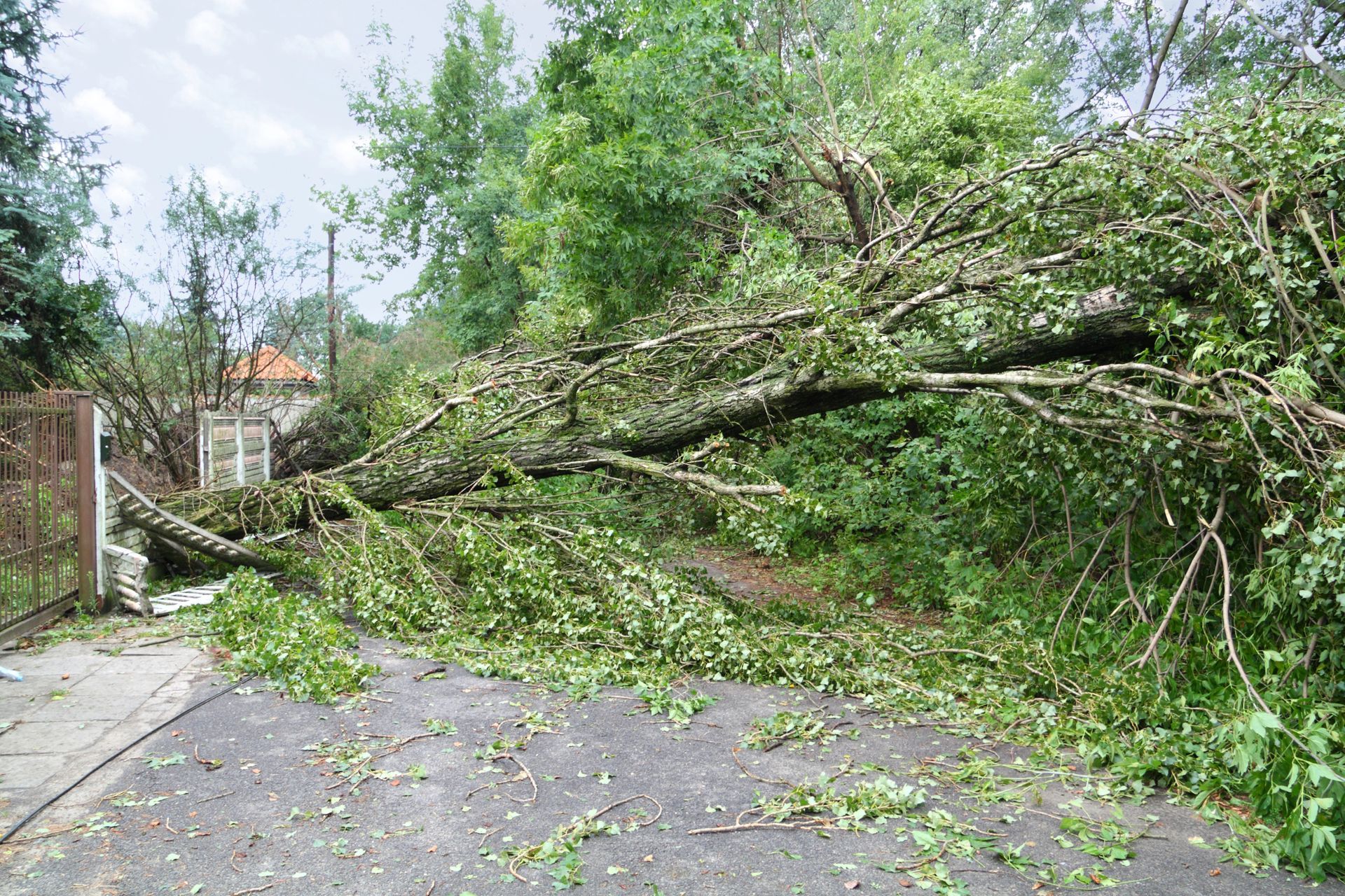 Storm Damage Repair in Harrisburg, PA
