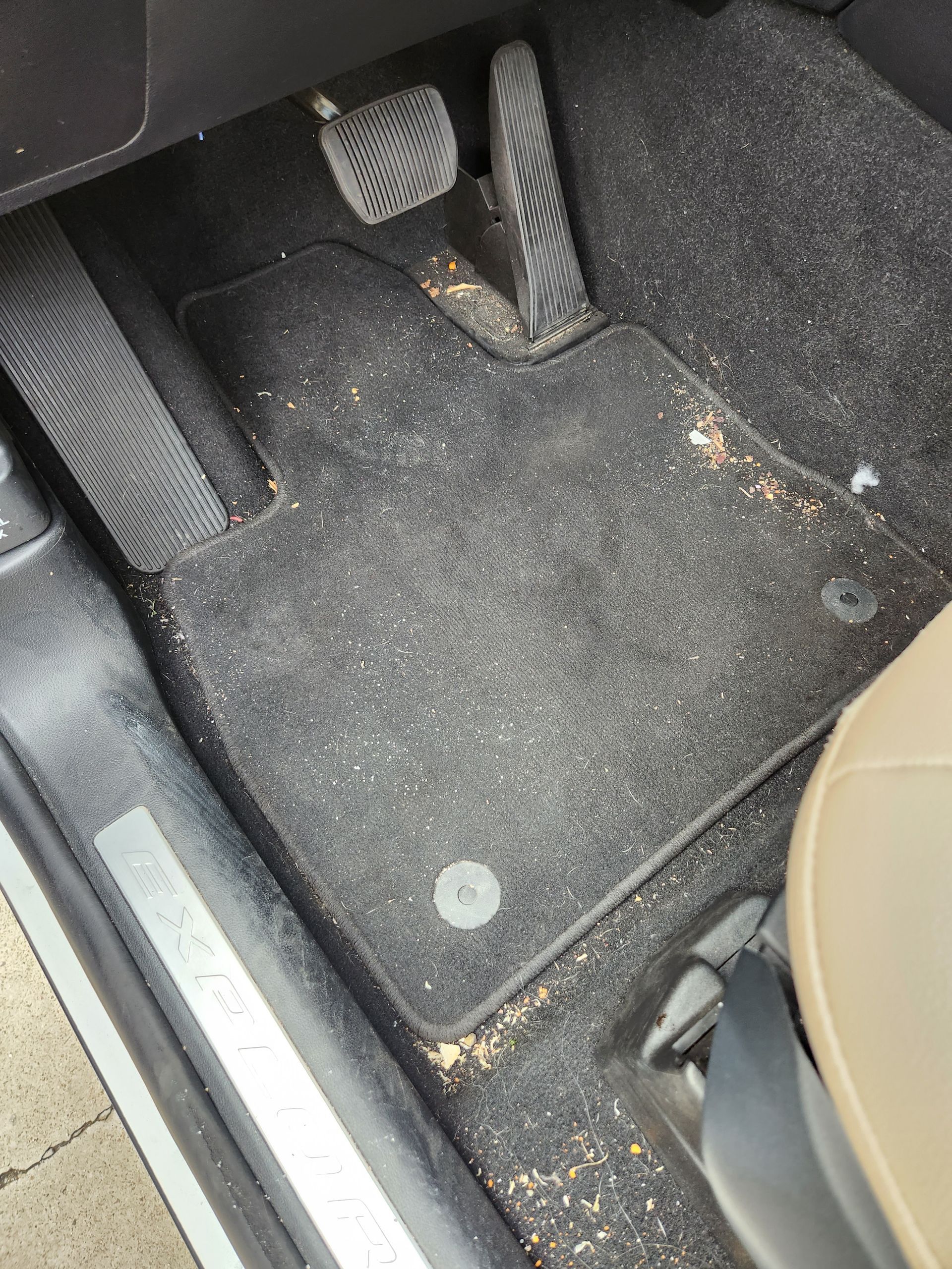 Mobile Interior detailing