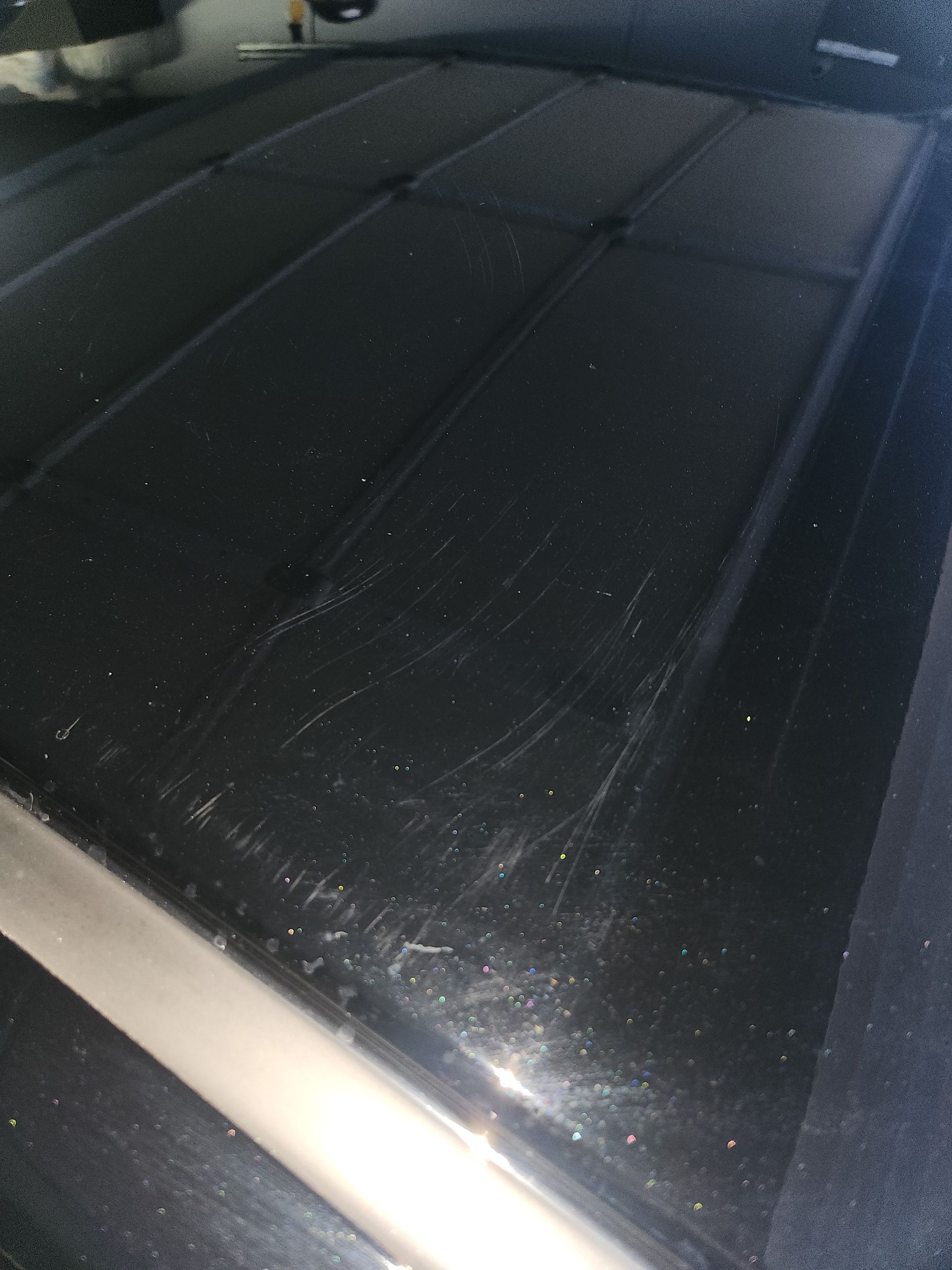 Paint Correction San Diego