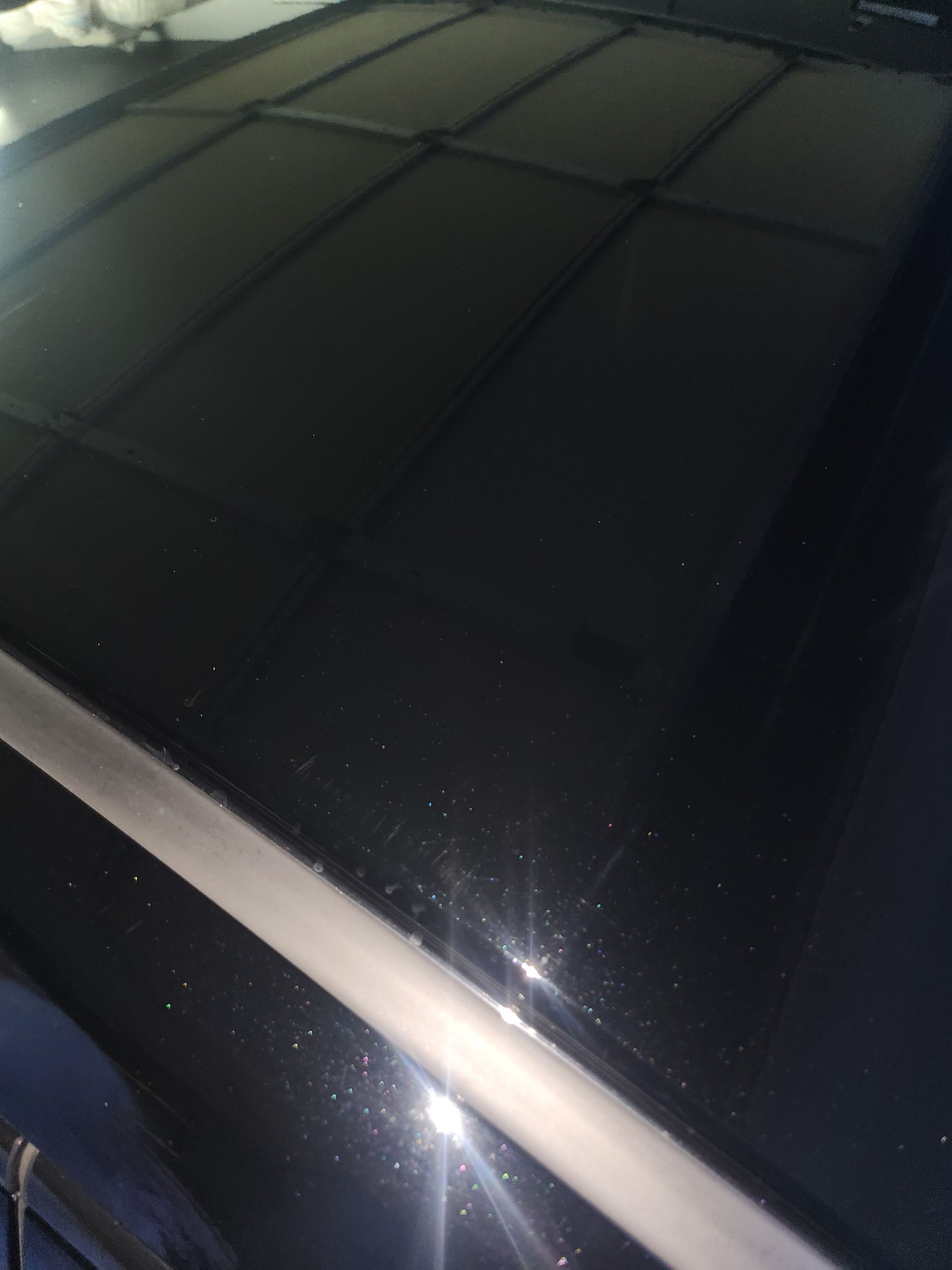 Paint Correction San Diego