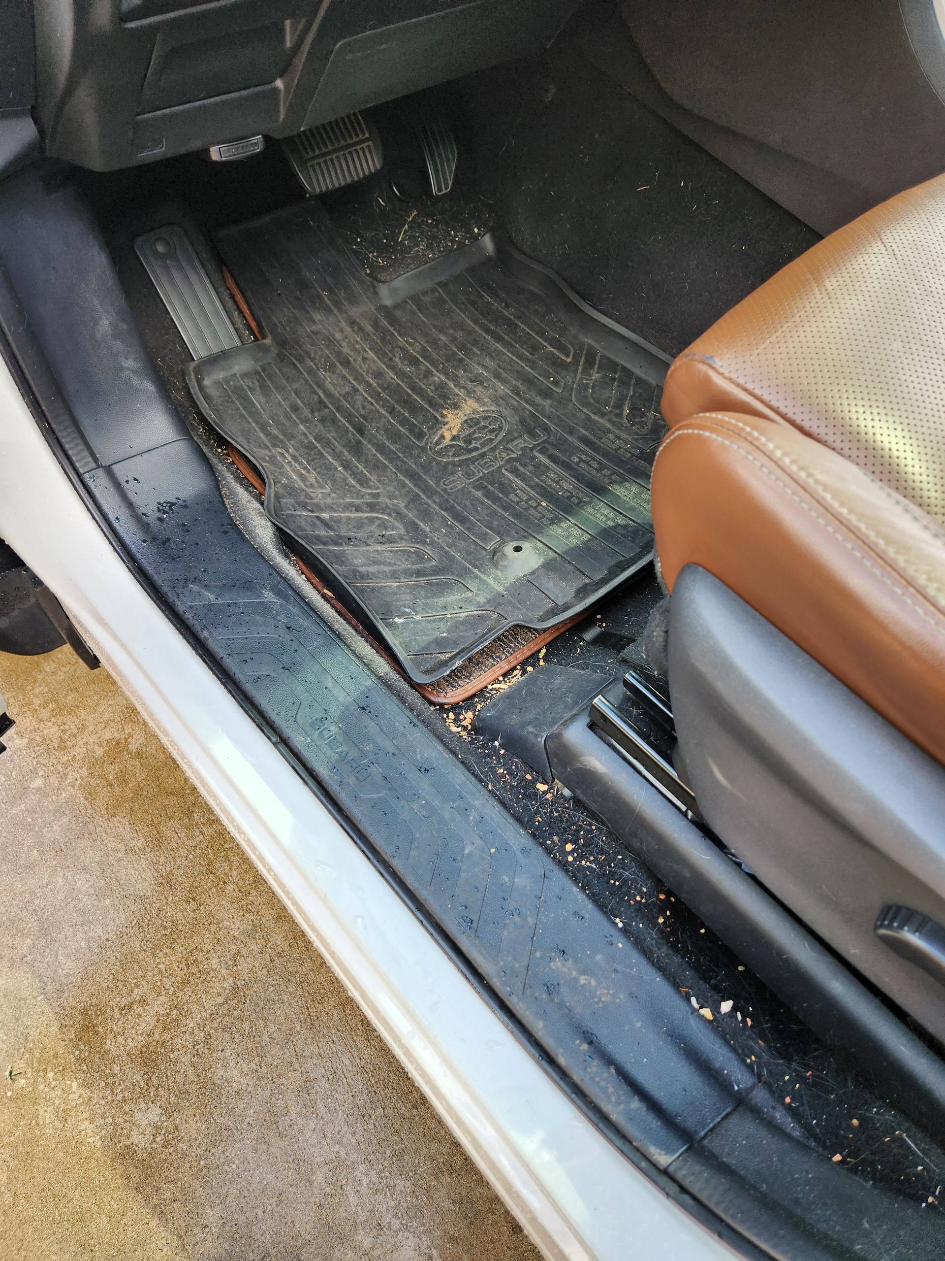 Full Interior Detailing Mobile