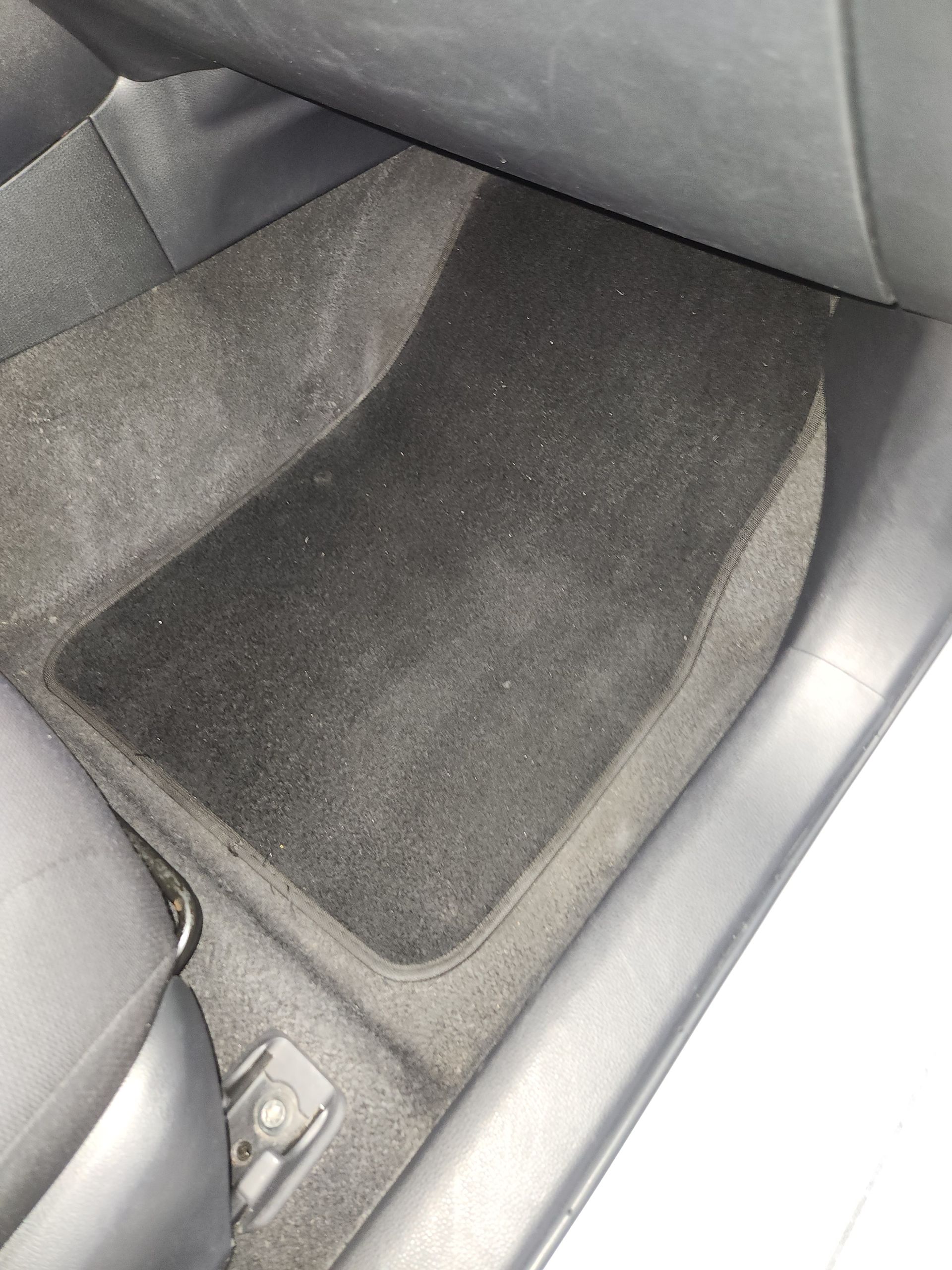 full car shampoo