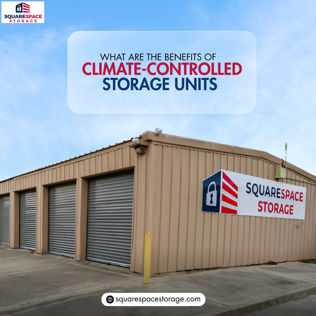 Climate-Controlled Storage Units