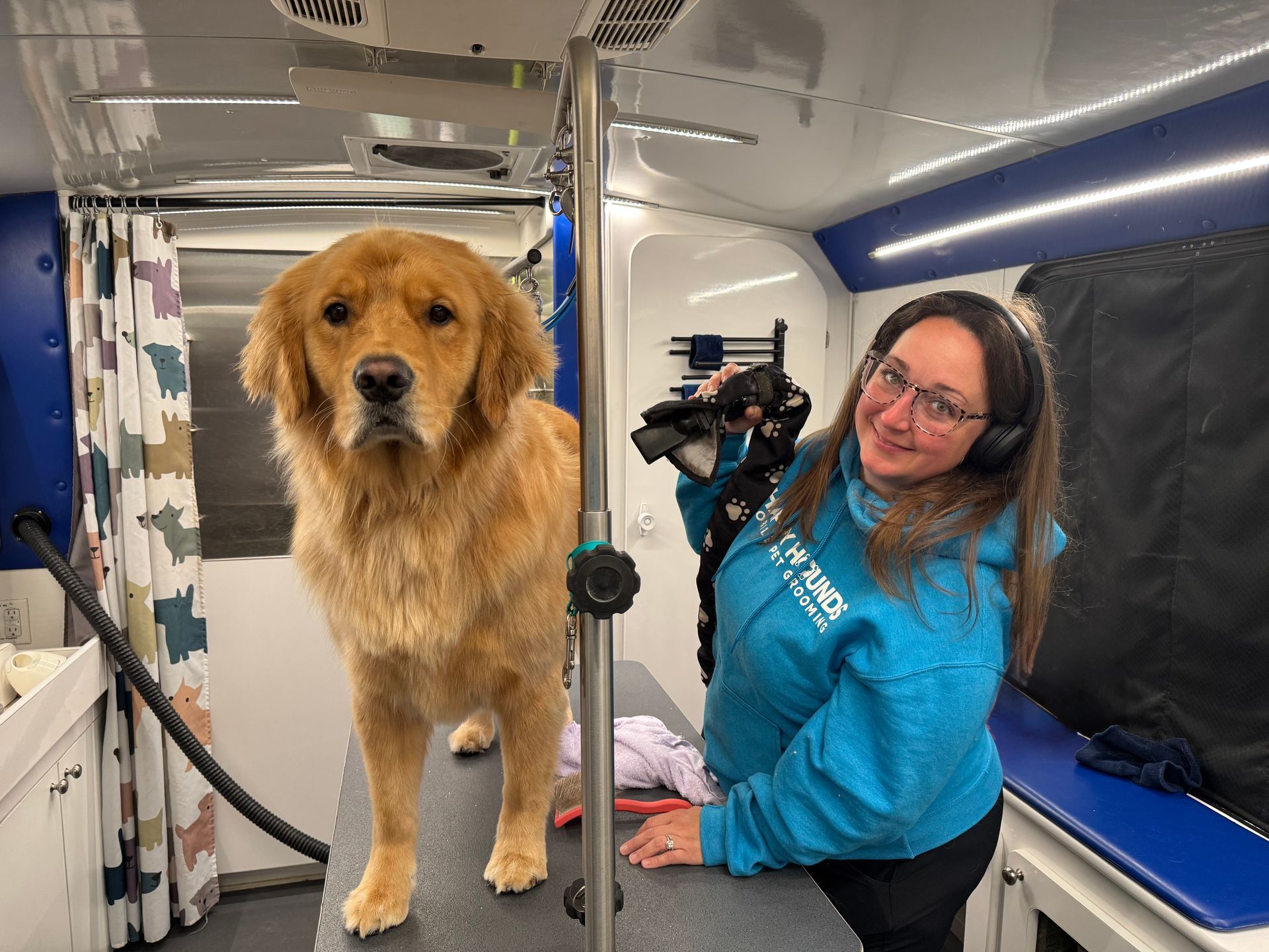 Pet groomer with golden retriever on grooming table inside a fully equipped mobile grooming van.