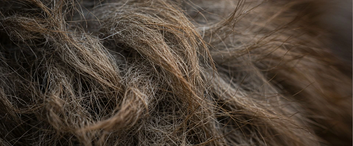 Dog hair knots and dog matted fur 
