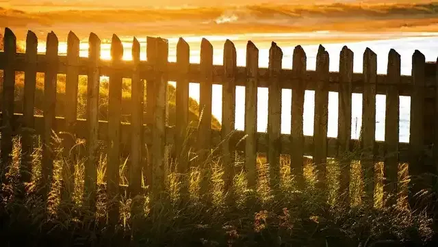 Fence Removal