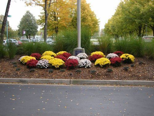 Flowers by the Road — Highland, IN — Allen Landscape in Highland, LLC