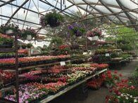 Greenhouse — Highland, IN — Allen Landscape in Highland, LLC