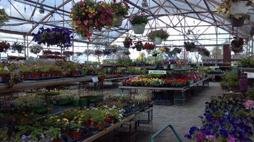 Large Greenhouse — Highland, IN — Allen Landscape in Highland, LLC