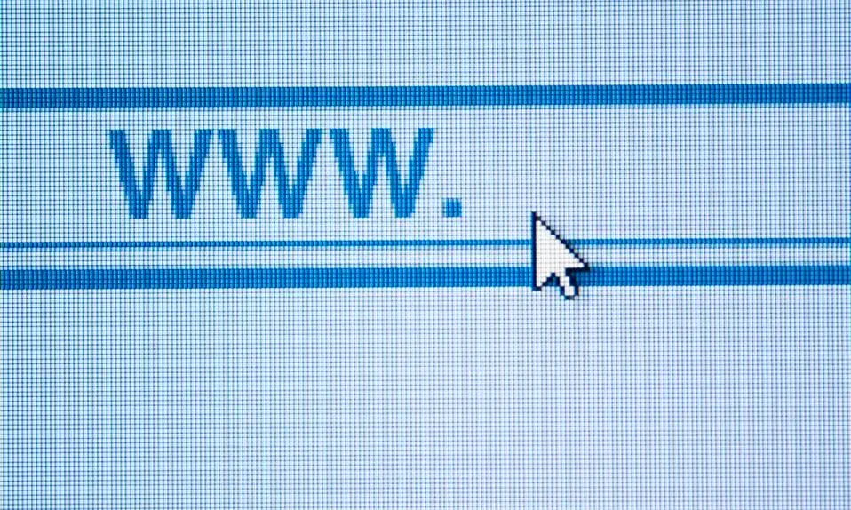 A computer screen with a mouse pointer pointing to the word www A computer screen with a mouse pointer pointing to the word www