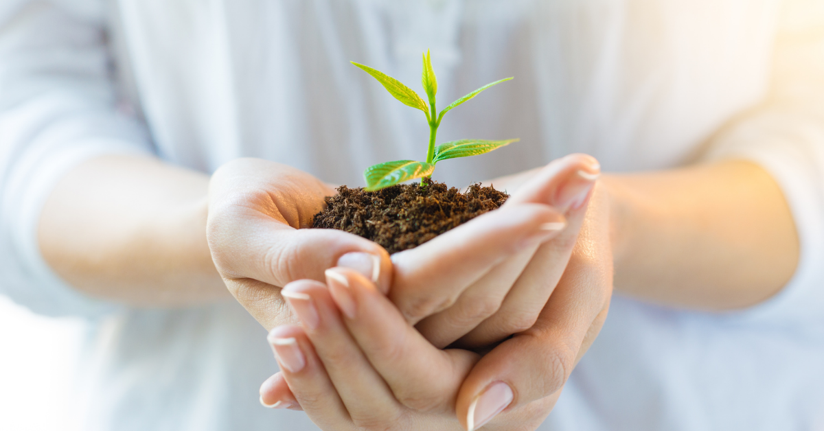 small business growth, grow your small business, small business