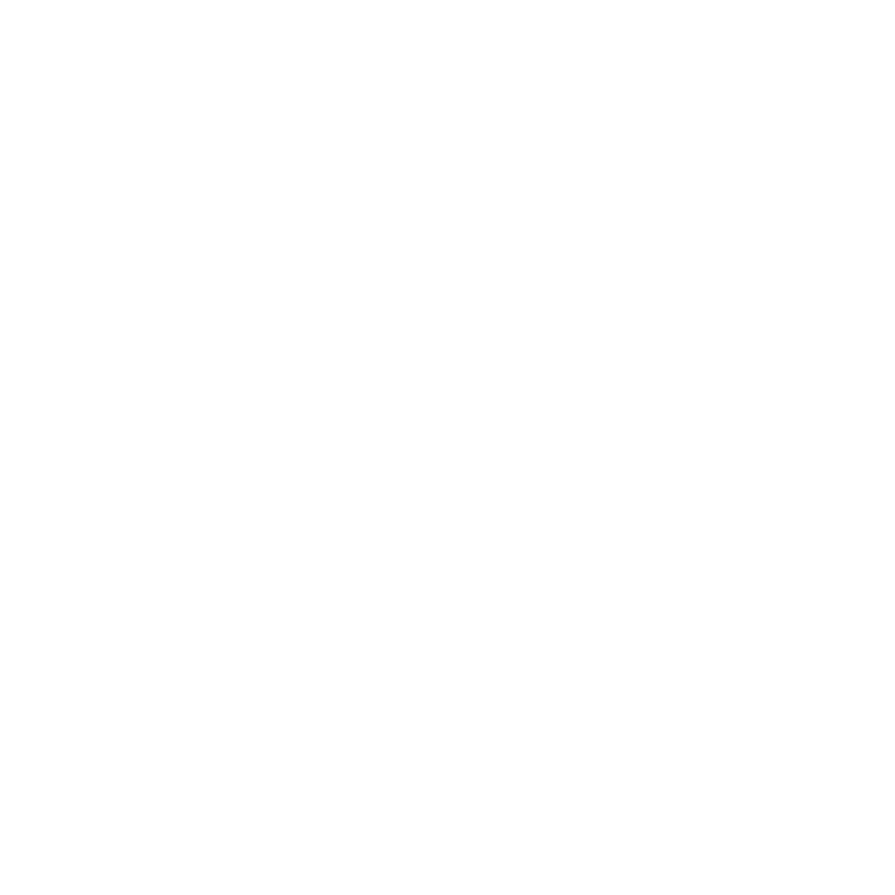 Google Partner Badge
