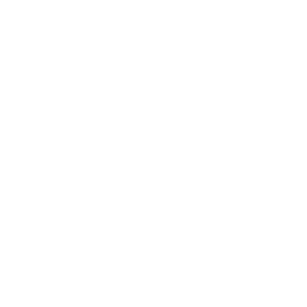 Facebook Meta Business Partner