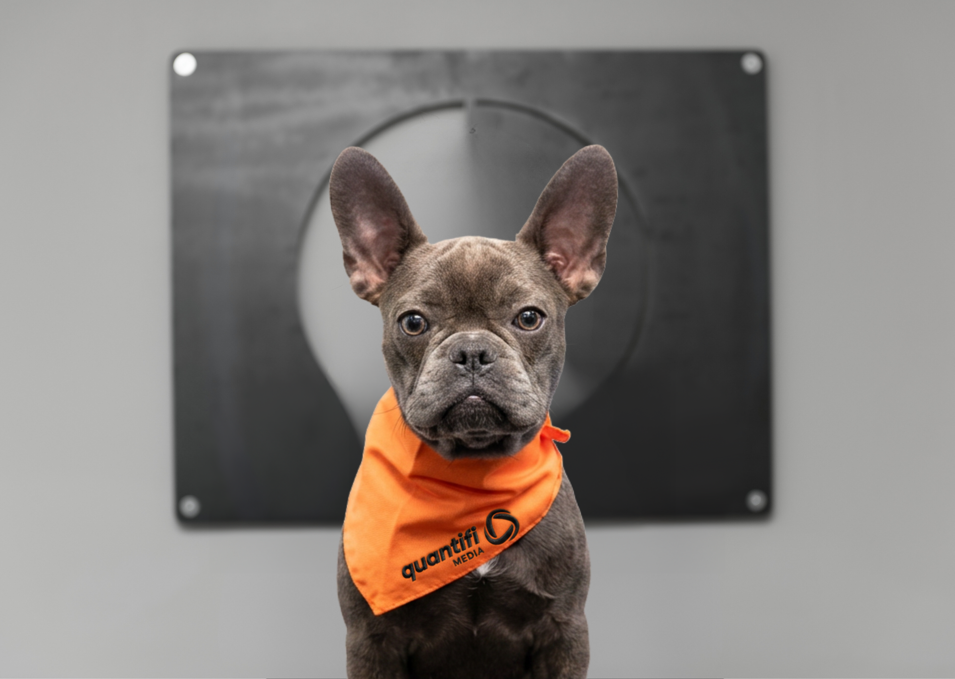 Brooks Quaresimo | Chief Cuddle Officer
