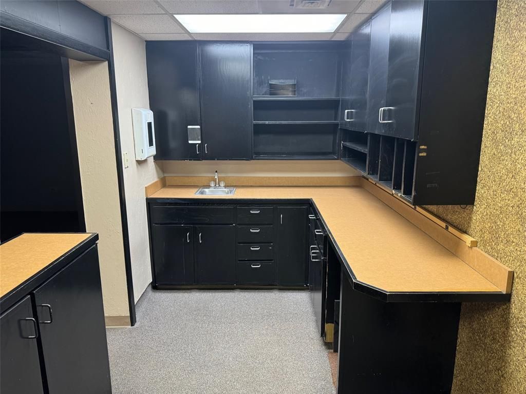 A kitchen with black cabinets and a sink.
