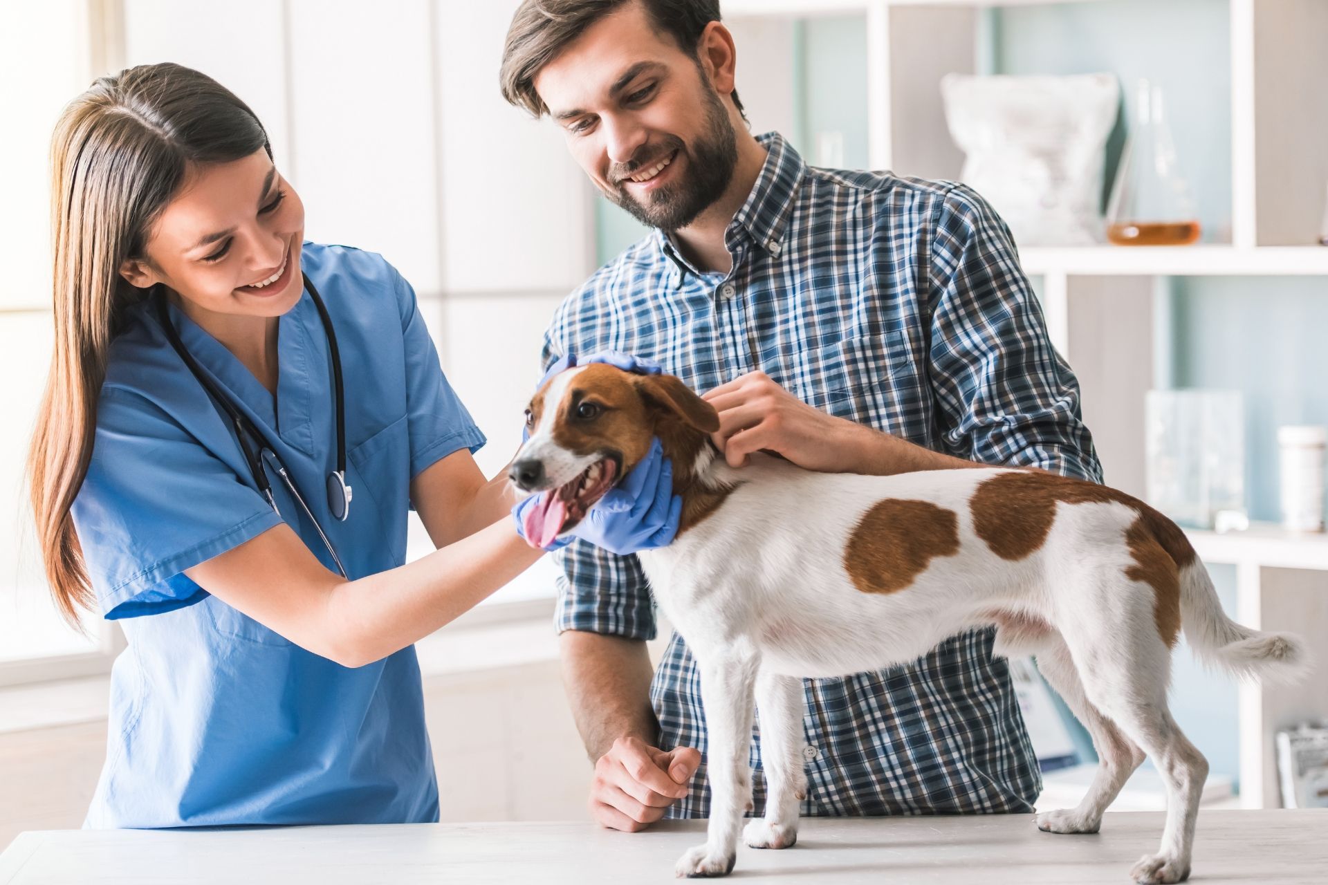A man and a nurse are examining a dog in a veterinary clinic.