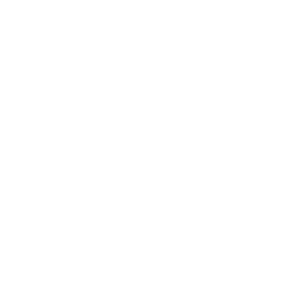 A white background with a few lines on it