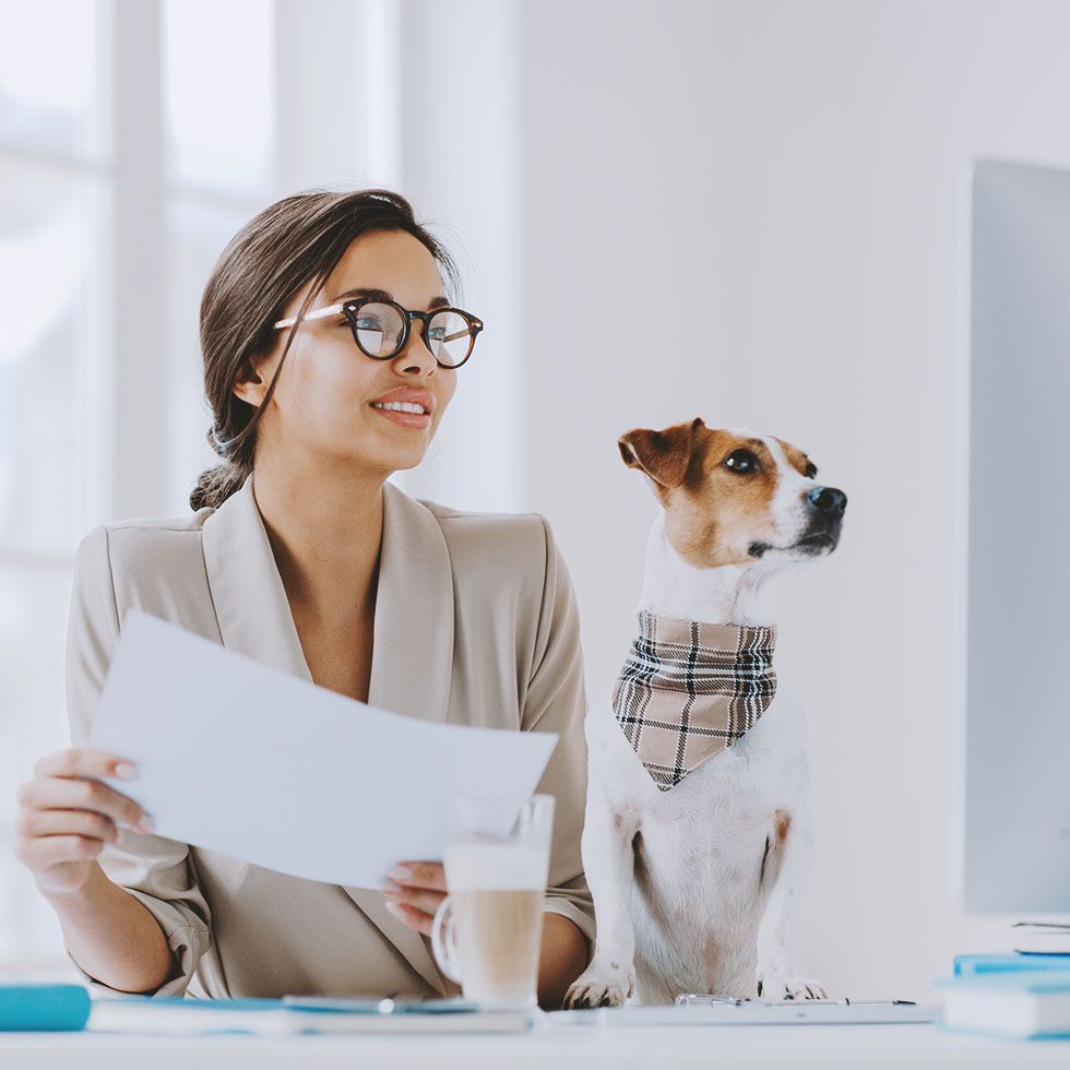 A woman is sitting at a desk with a dog on it.