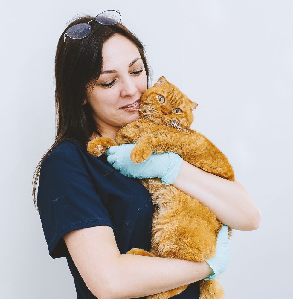 A woman is holding an orange cat in her arms.